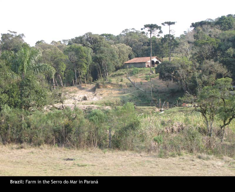 SerraVerde05