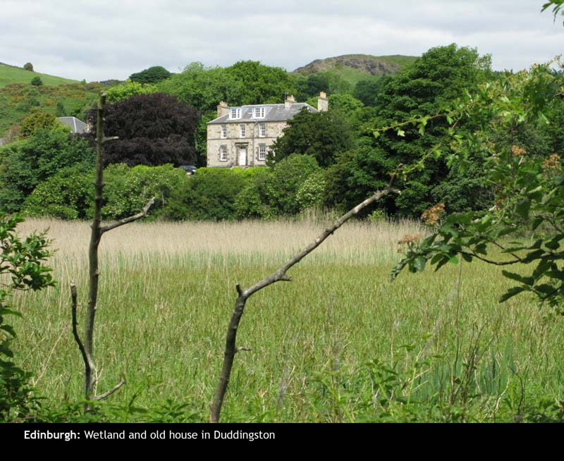 Craigmillar03
