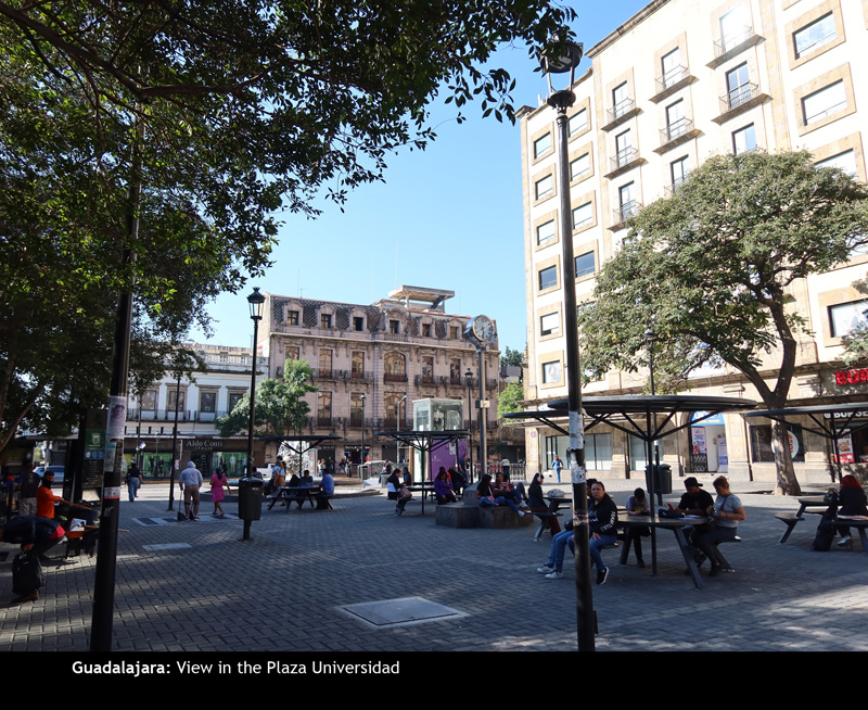 CentralGuadalajara17