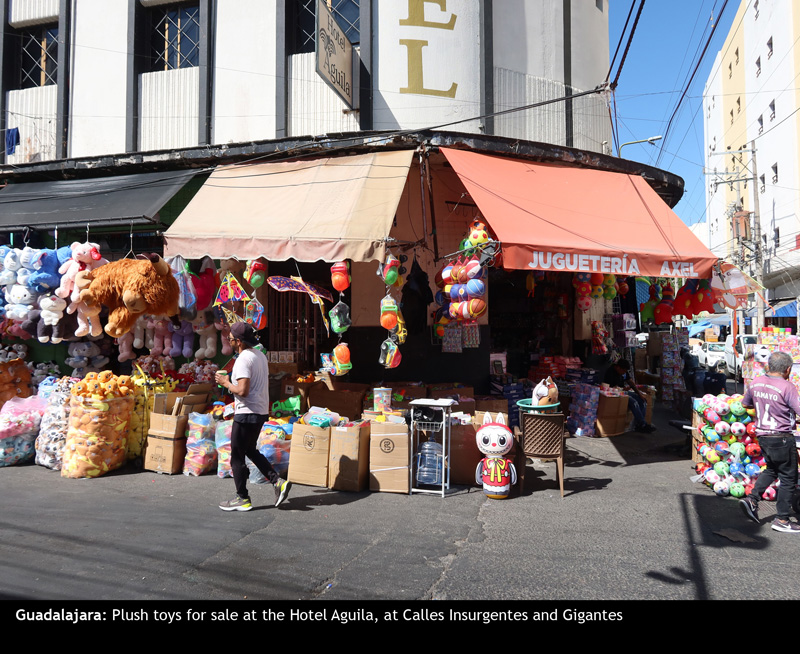 SouthGuadalajara23