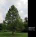 SouthGuelph32