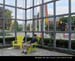 Kitchener066