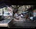 NorthKolkata005