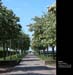 Malmo045
