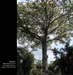 NorthMedellin13