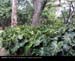 NorthMedellin19