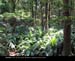 NorthMedellin31