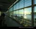 MontrealAura002