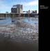 Montreal2021-032