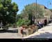Amalfi016