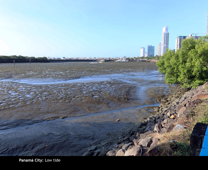 DowntownPanama061