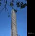 DowntownPanama067