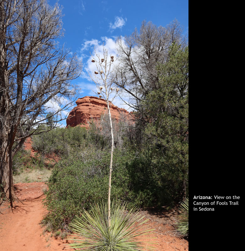 Sedona083