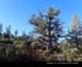 Sedona015