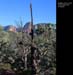 Sedona026