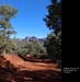 Sedona029