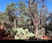 Sedona035