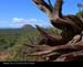 Sedona075