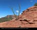 Sedona077