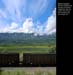 Revy2025-044