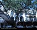 WaterfrontSavannah03