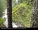 WashingtonState11