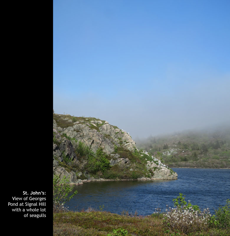 SignalHill26