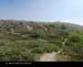 SignalHill06