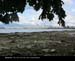 VancouverLois06
