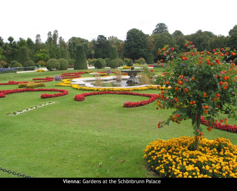 Vienna104