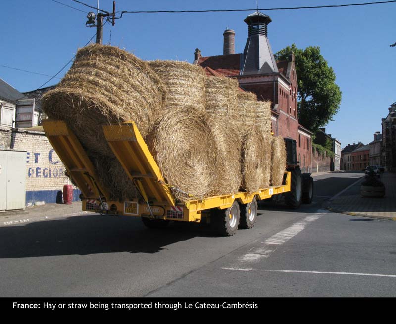 Cateau12