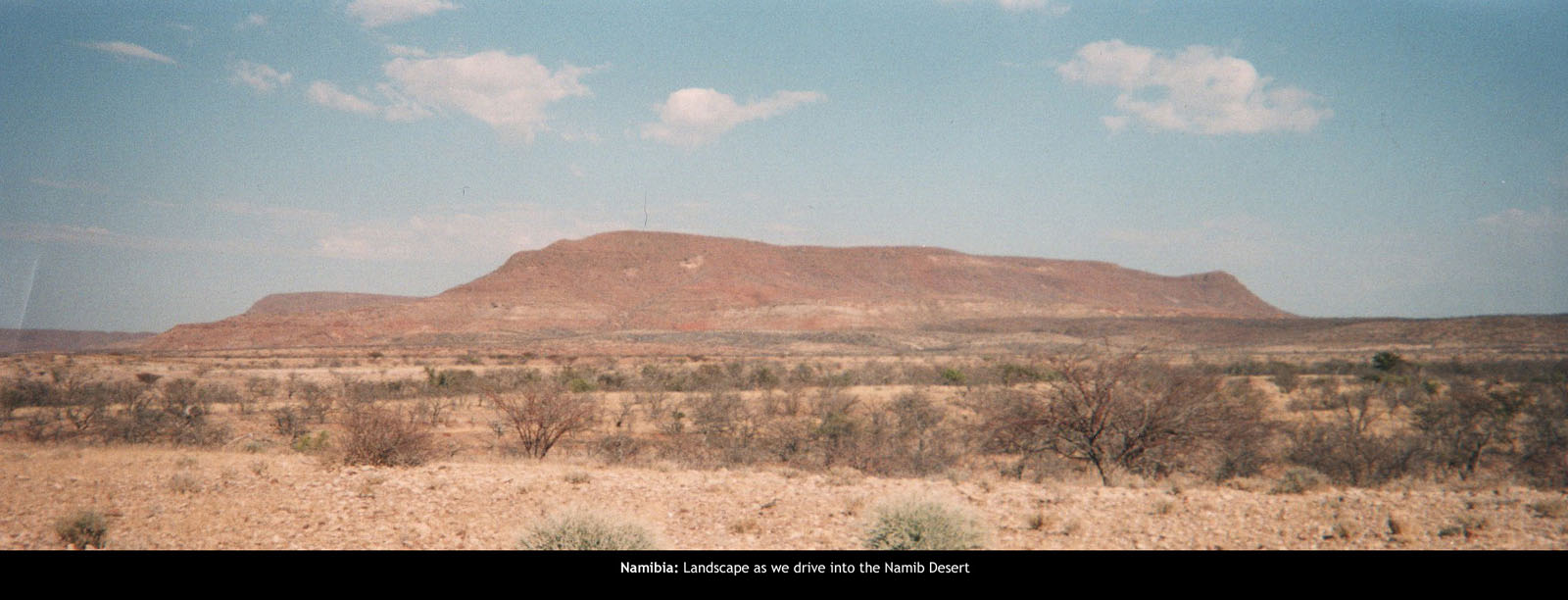 Etosha-Namib23