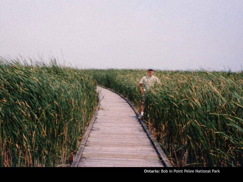 Pelee01