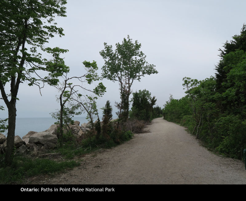 Pelee08