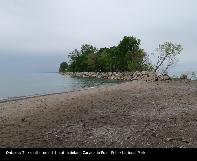 Pelee12
